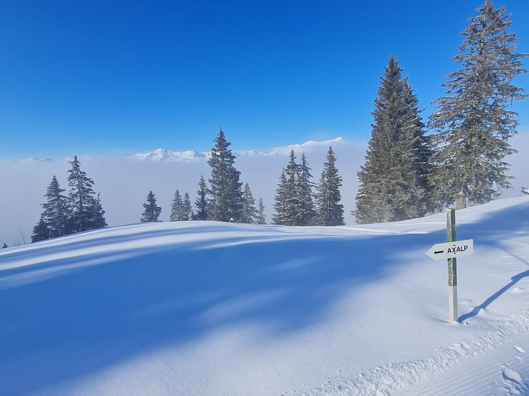 Axalp-布里恩茨必去景点
