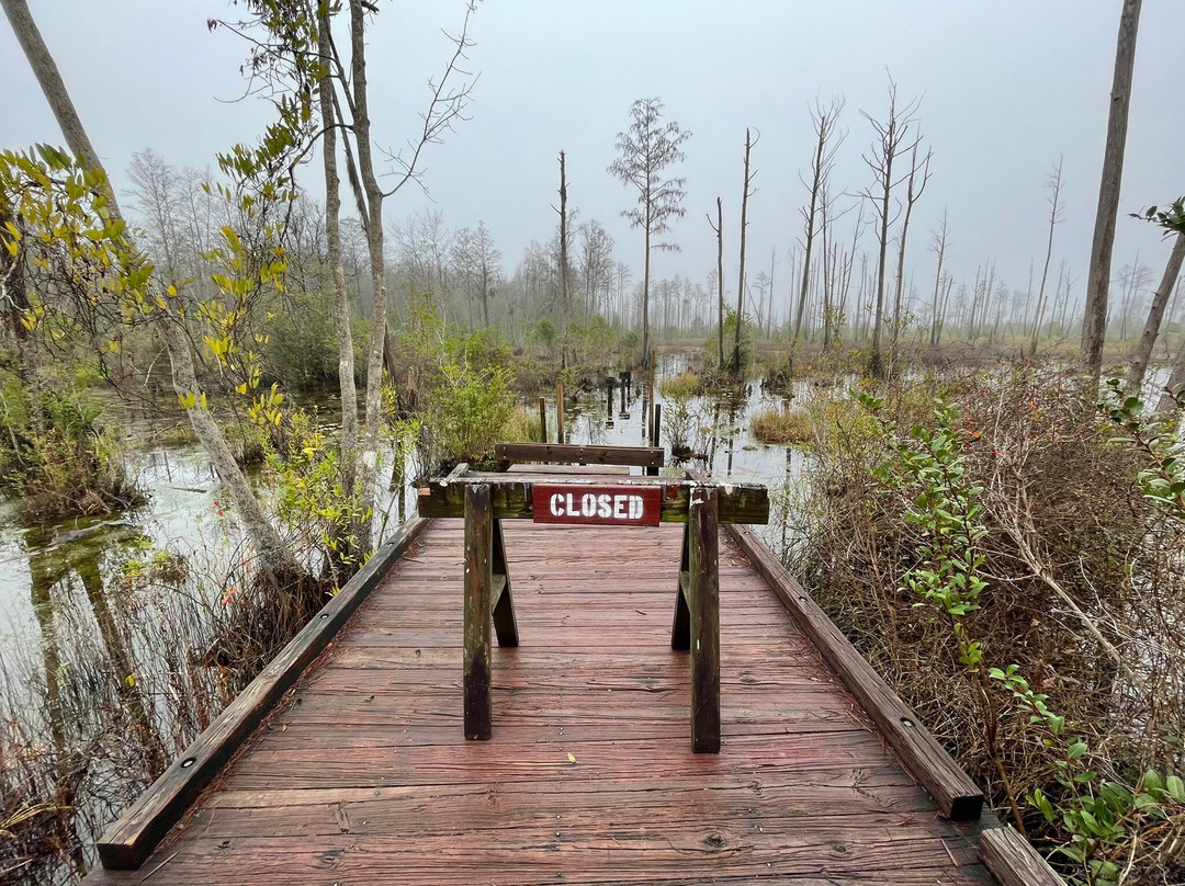Stephen C. Foster State Park-Fargo必去景点