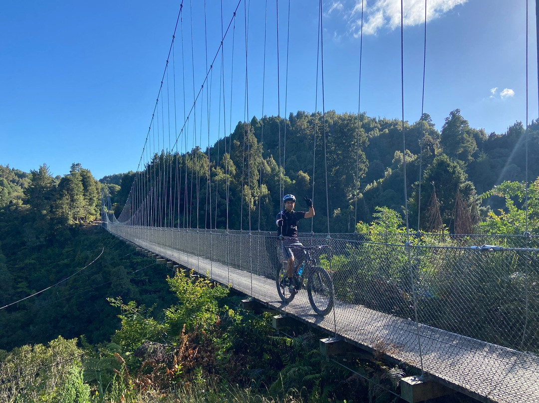 Timber Trail NZ景点图片