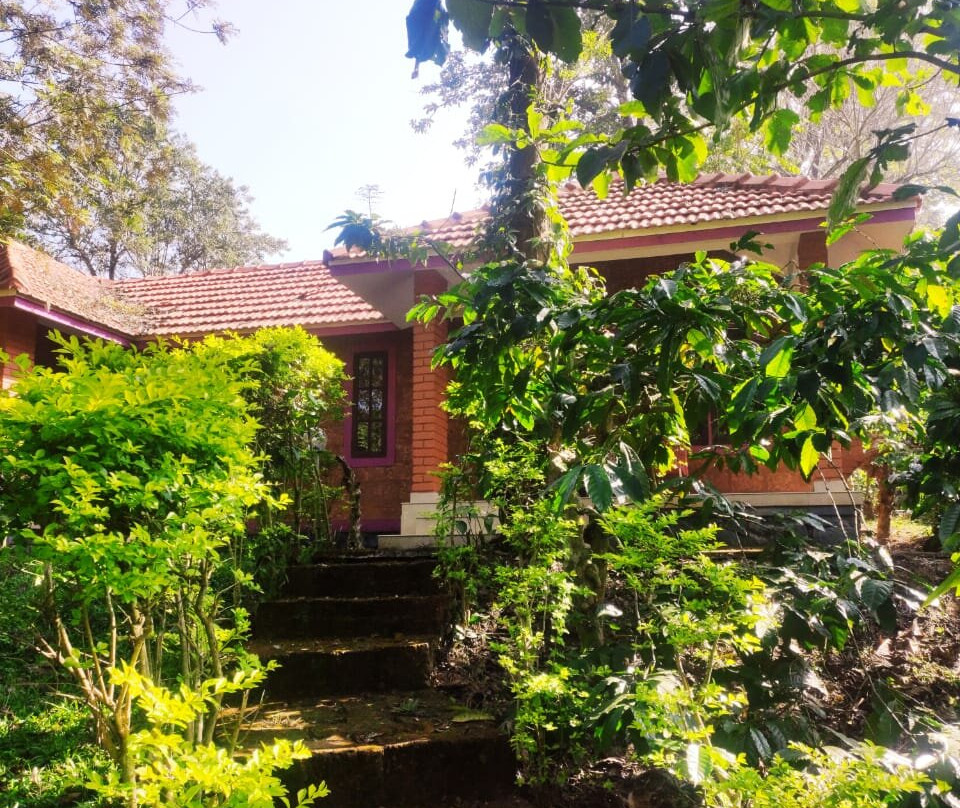 Wild Life Resorts主图