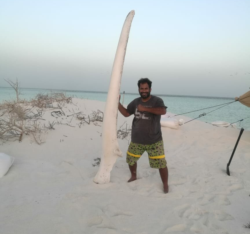 Oman Dive Center-马斯喀特必去景点