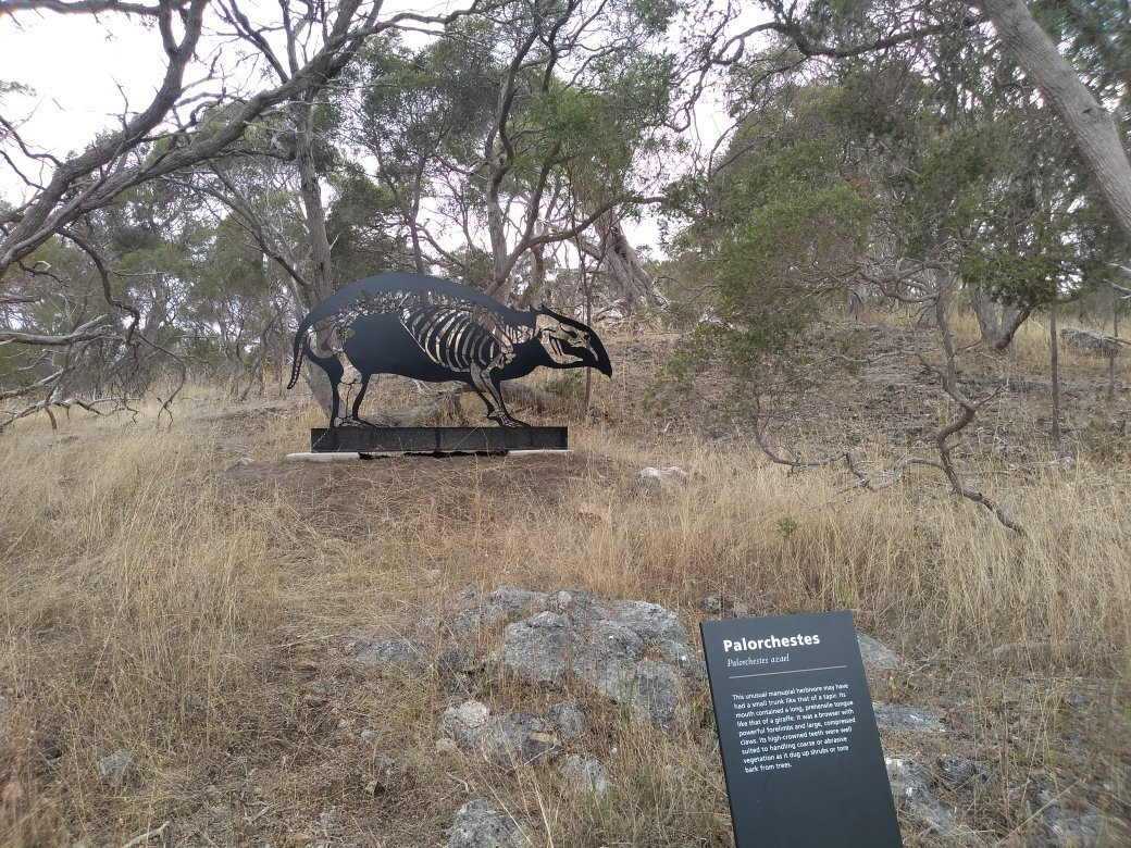 Limestone Cliffs Walk-Naracoorte必去景点