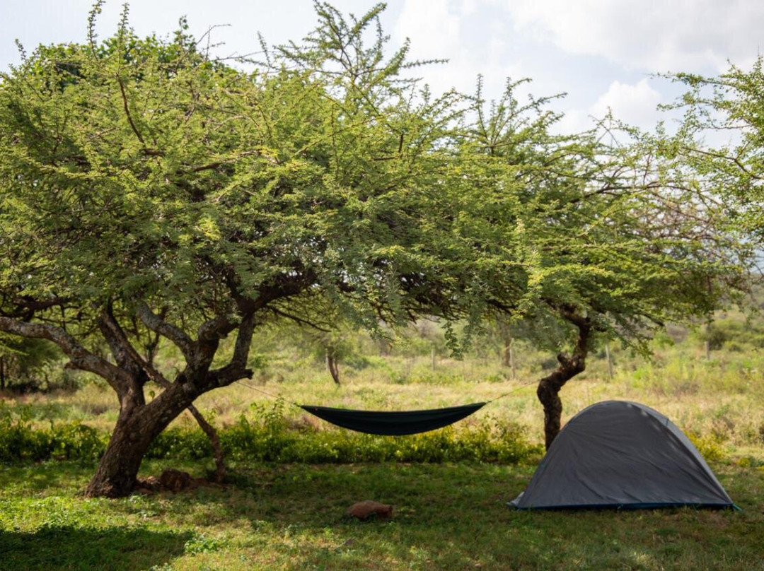 Mala Mala Campsite-恩贡必去景点