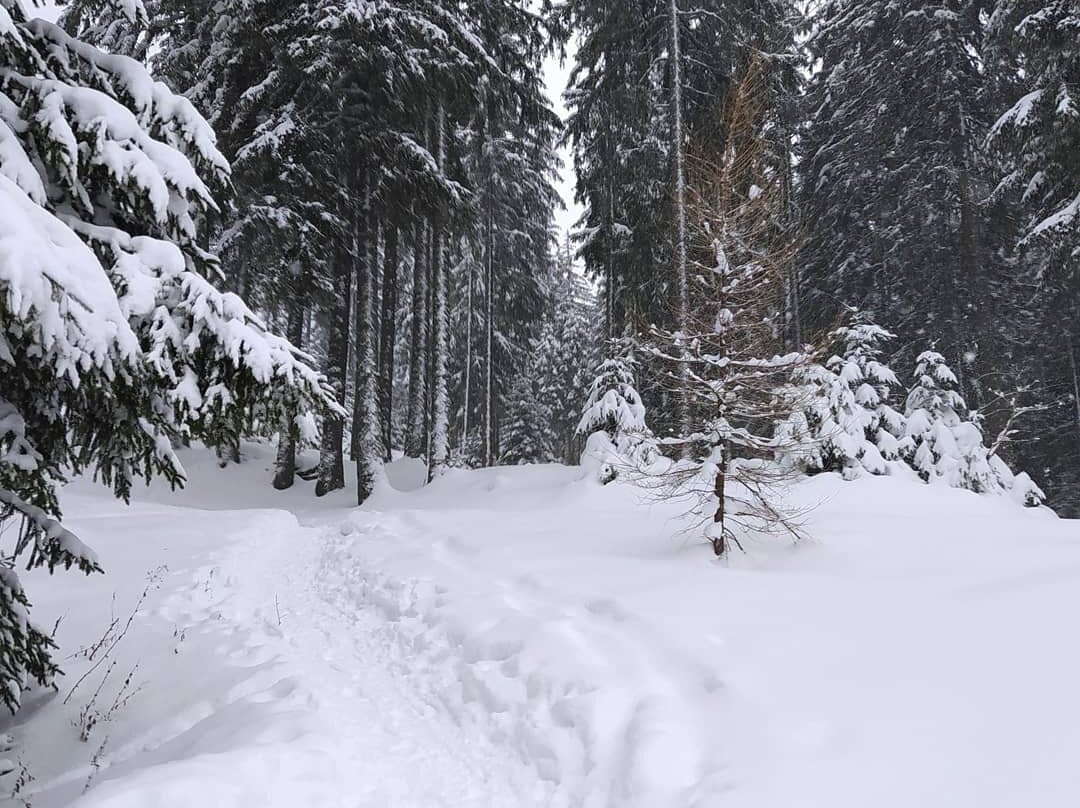 Station de Ski - Pralognan-la-Vanoise景点图片