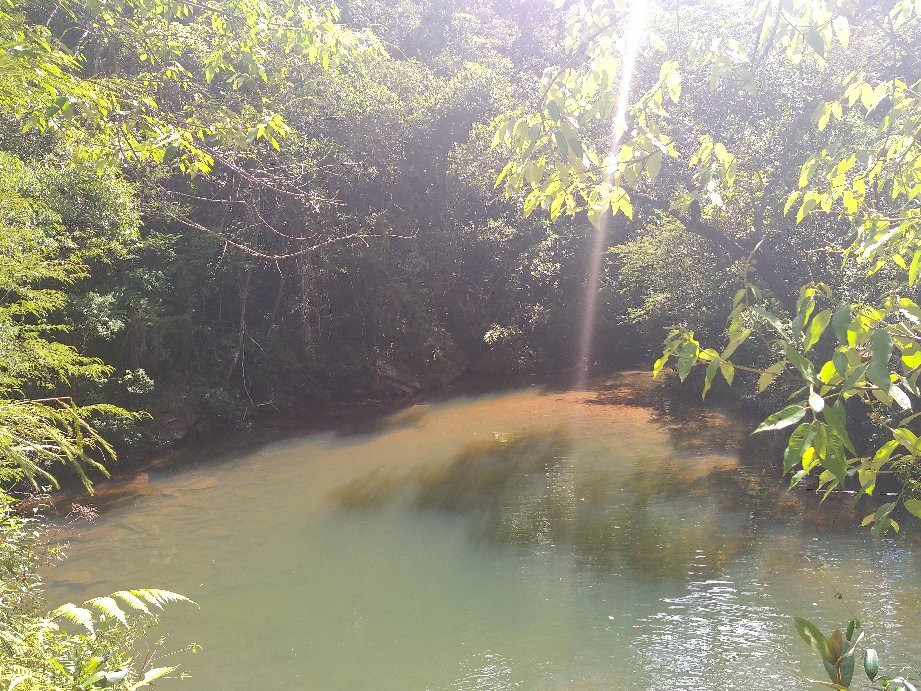 Parque Natural Municipal das Andorinhas-欧鲁普雷图必去景点