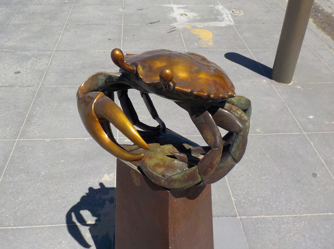 Altona Beach景点图片