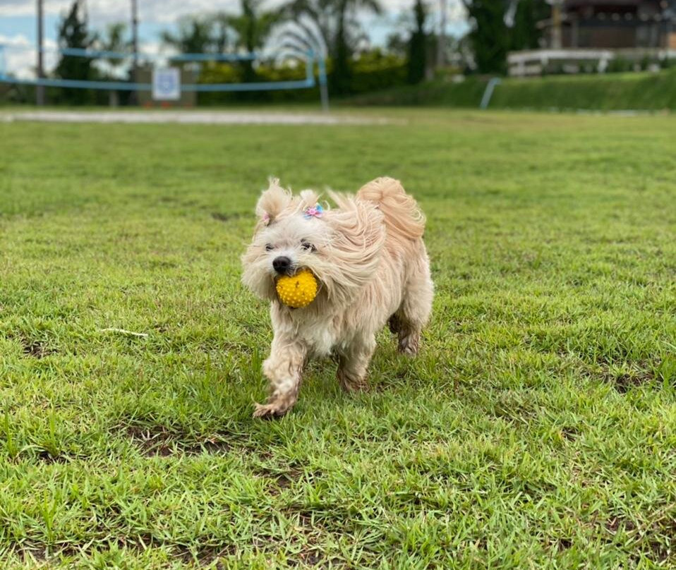 Ladiv'ttá Spa & Hotel Boutique主图