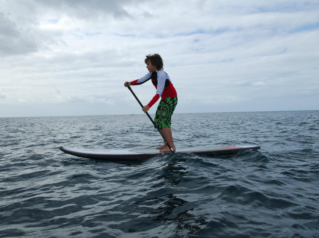 Aroundfreedom Surf School景点图片