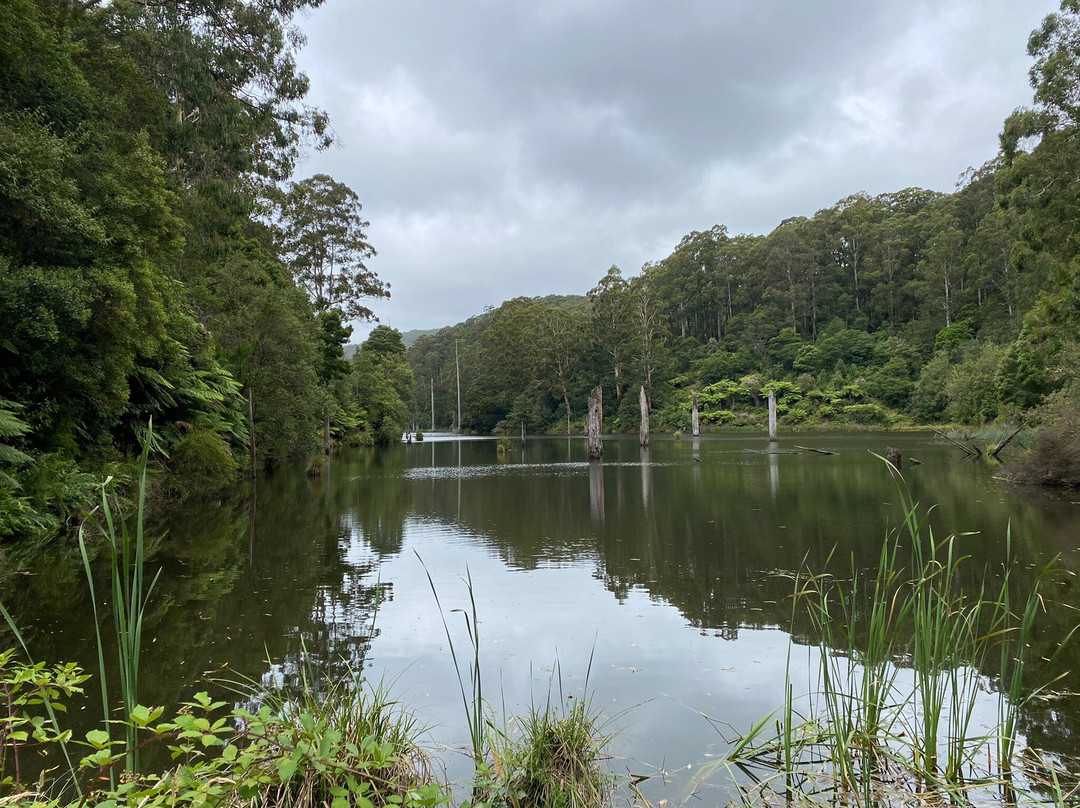 Lake Elizabeth景点图片
