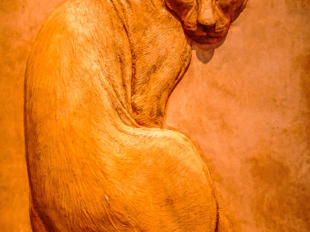 Meowseum Museum of Cat Art & Craft-乔治城必去景点