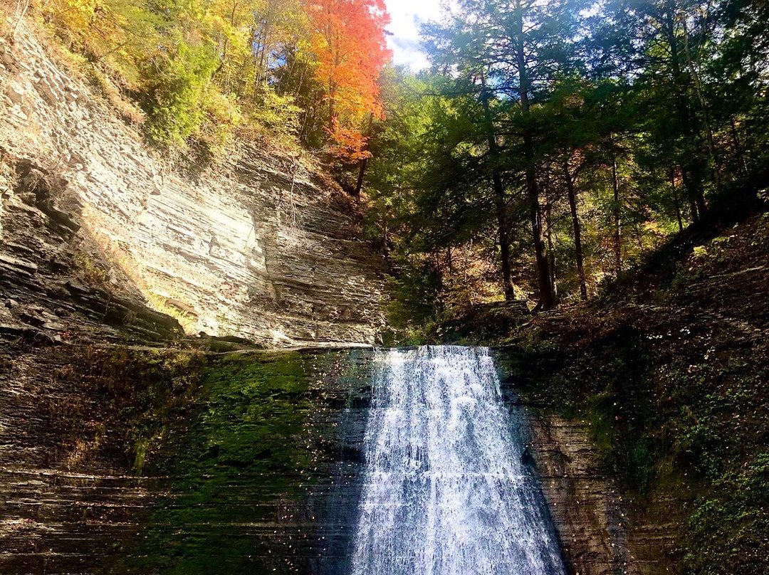 Stony Brook State Park-Dansville必去景点