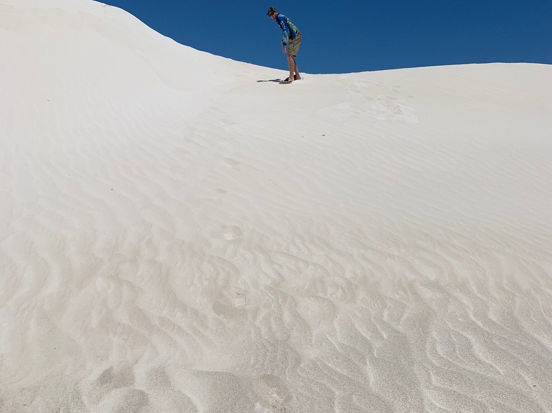 Lancelin Sand Dunes景点图片