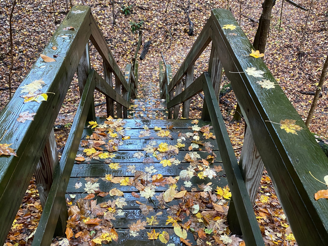 Hach-Otis State Nature Preserve景点图片