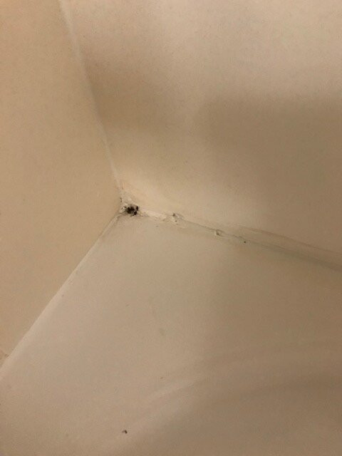 Comfort Suites Woodland - Sacramento Airport主图