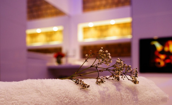 Alte Zigarrenmanufaktur主图