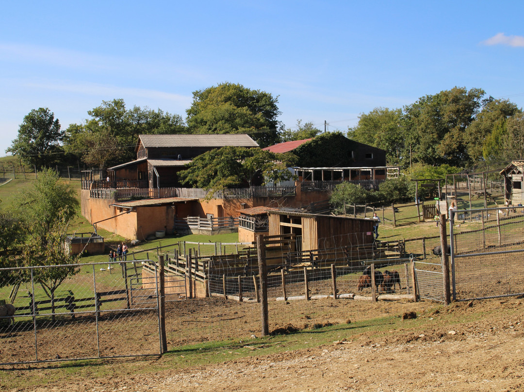 La Ferme Aux Bisons-Lapenne必去景点