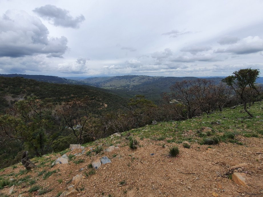 Merlins Lookout-Hill End必去景点