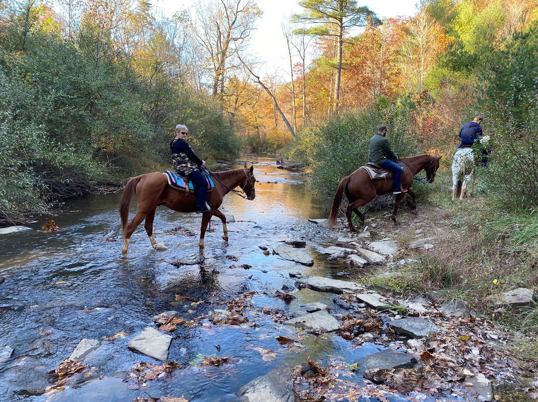 Rocking S Ranch-温切斯特必去景点