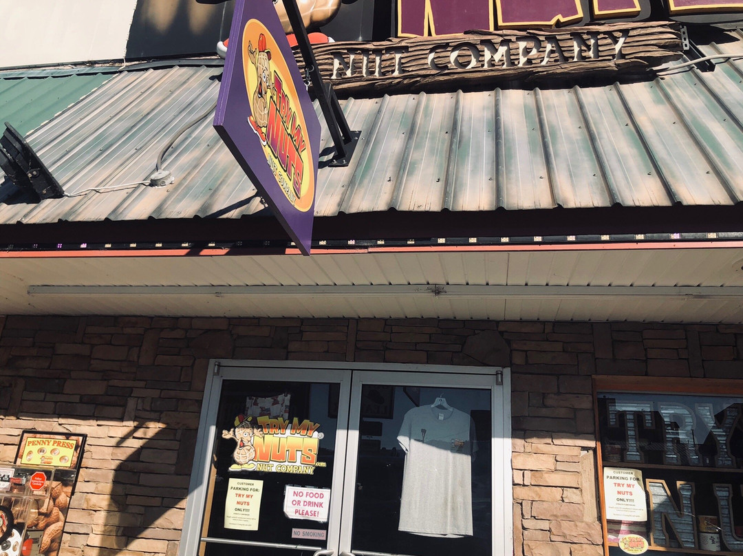 Try My Nuts Company-皮金福奇必去景点