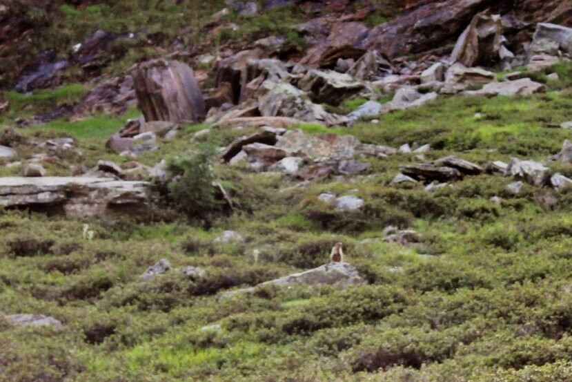 Forcella Faltschnal-Plan必去景点