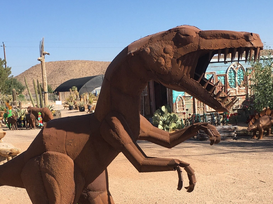 Cactus Joe's Blue Diamond Nursery-拉斯维加斯必去景点