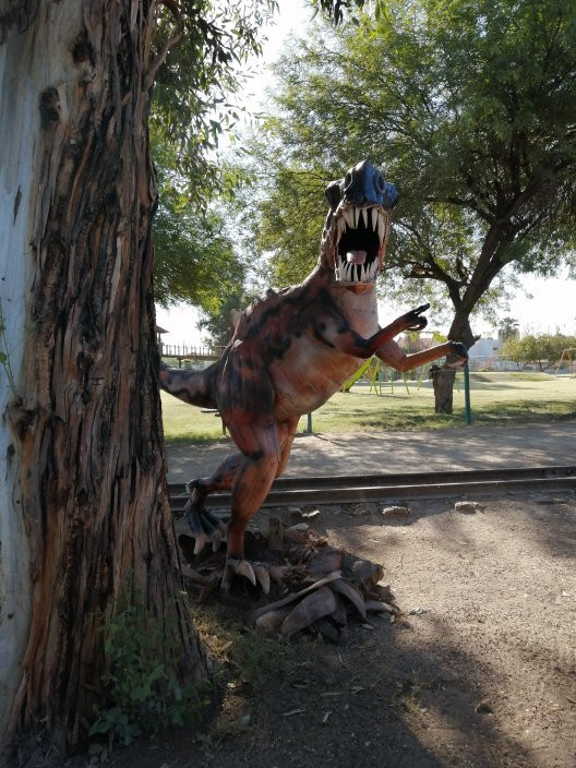 Bosque de la Ciudad de Mexicali-Mexicali必去景点