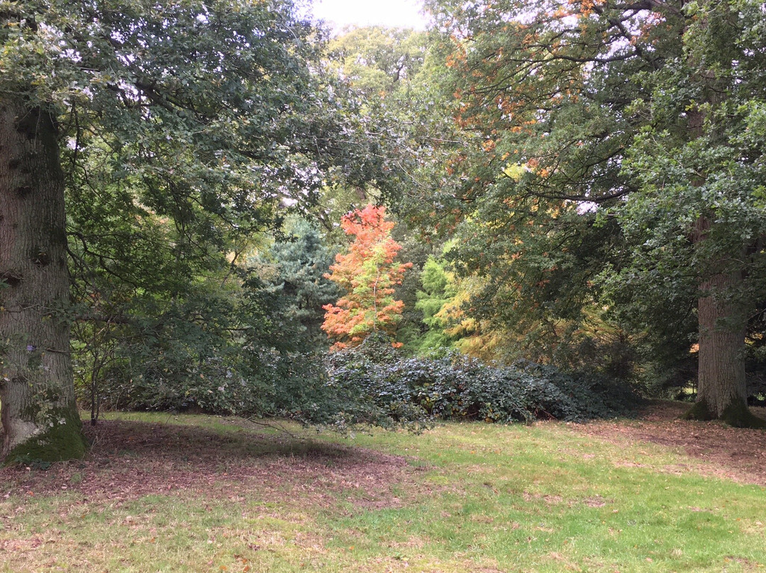 The University of Oxford Harcourt Arboretum景点图片