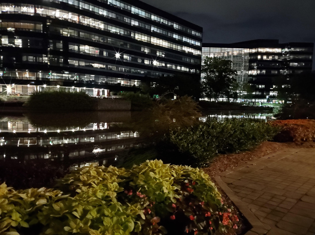 The Westin Atlanta Perimeter North主图