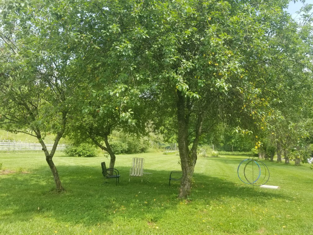 Irvington Spring Farm景点图片