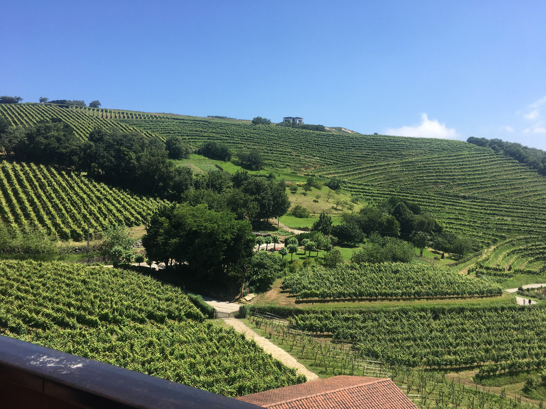 Bodega Talai Berri景点图片
