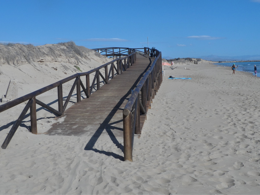 Playa Dels Vivers景点图片