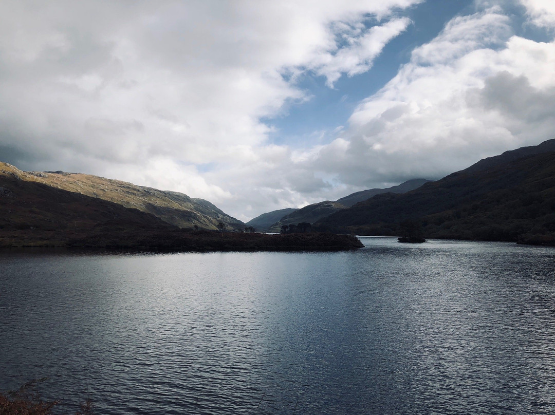 Woodlands Bed & Breakfast主图