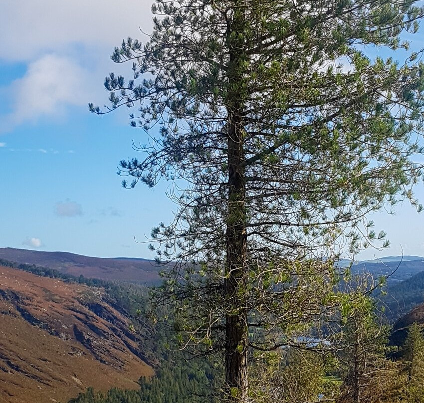 Glendalough Upper Lake-Wicklow必去景点