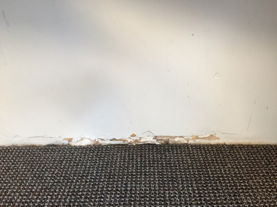 鹦鹉螺海滨Spa公寓主图