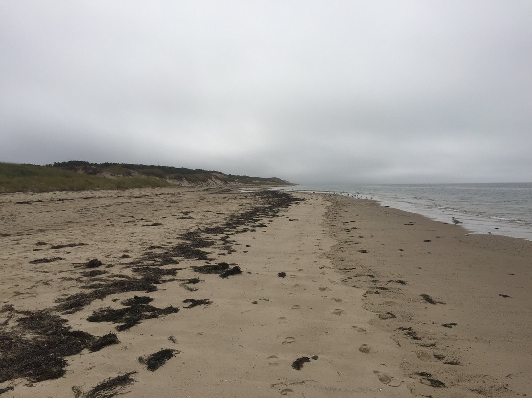 Great Island Trail景点图片