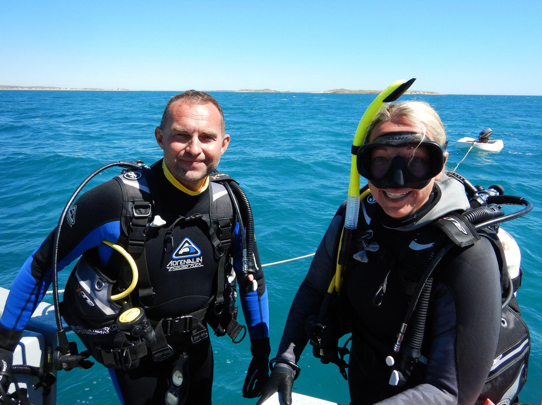 Pilbara Dive And Tours Pty Ltd-卡拉萨必去景点