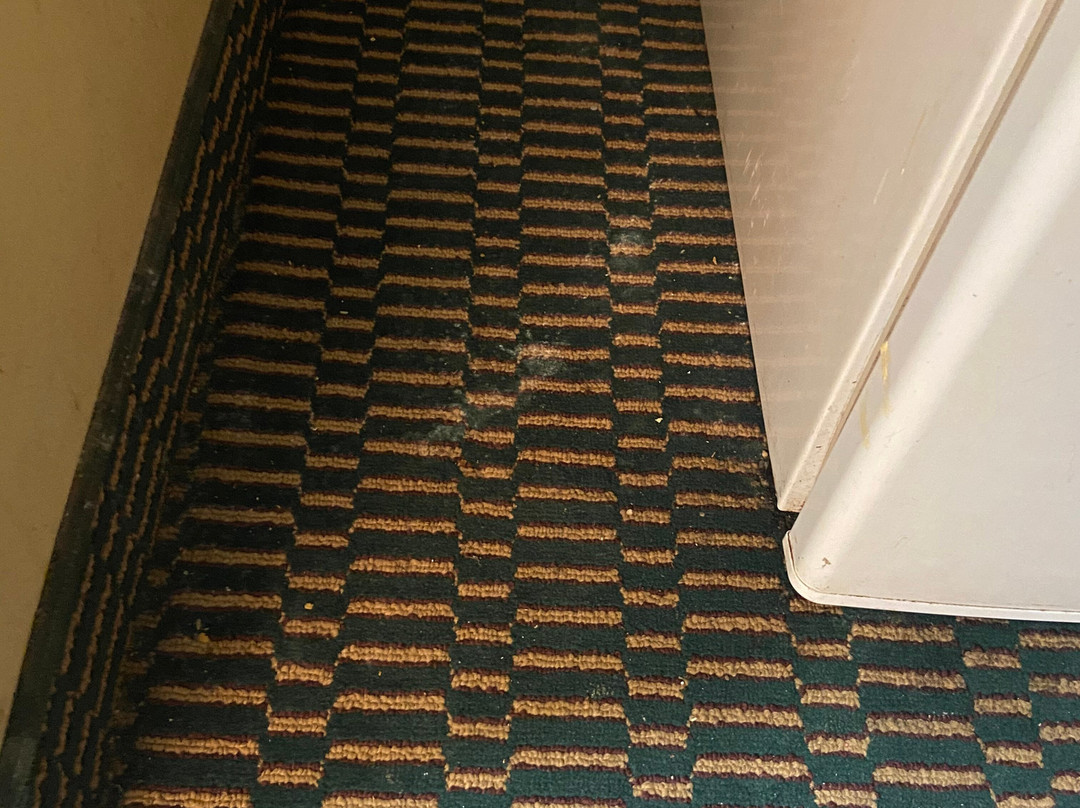 Super 8 by Wyndham Lancaster主图