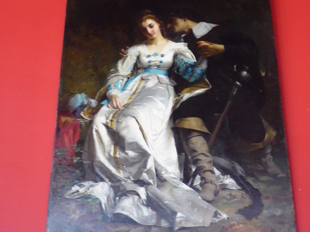 Musee d'Art et d'Histoire景点图片
