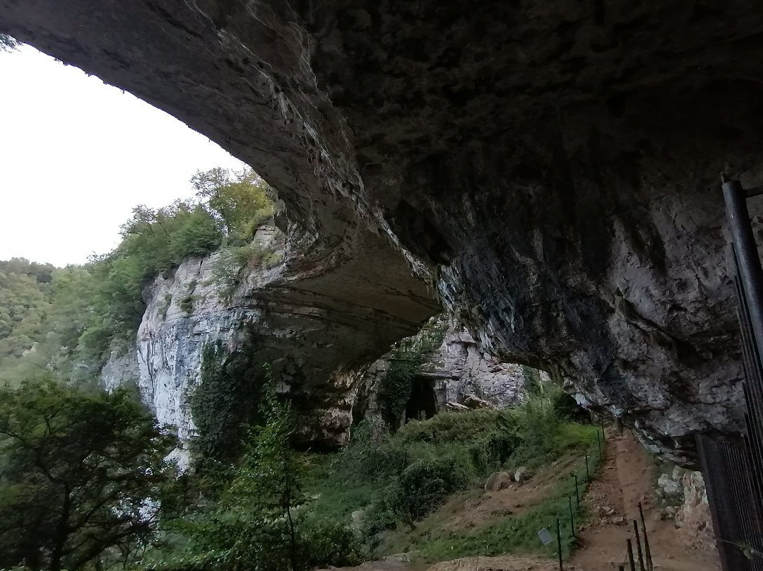 Ponte de Veja景点图片
