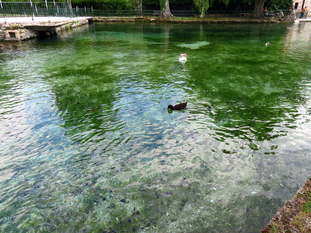 Lago dei Cigni景点图片