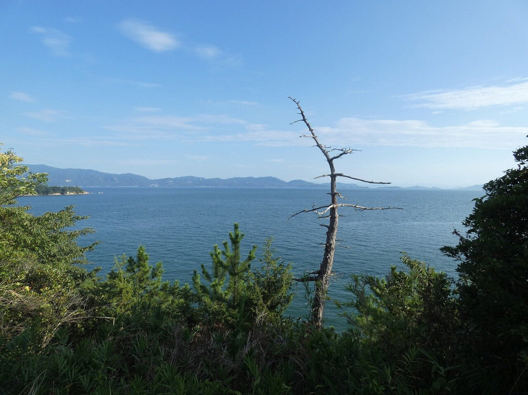 Maejima Island-濑户内市必去景点