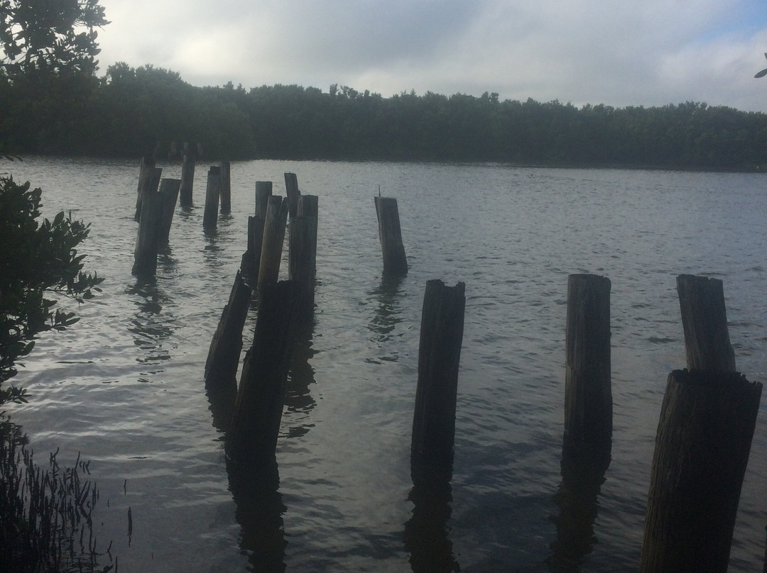Cedar Key Railroad Trestle Nature Trail-锡达礁必去景点