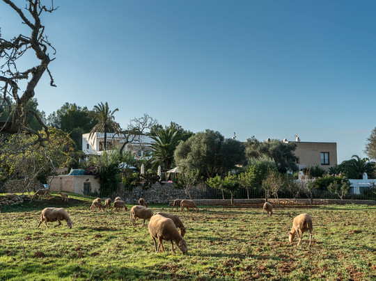 ES Cucons Rural Hotel主图