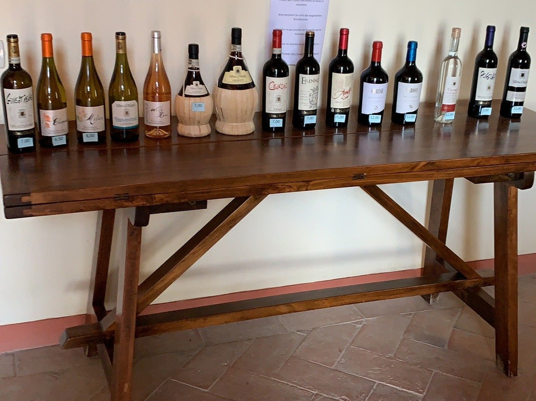 Fattoria il Palagio景点图片