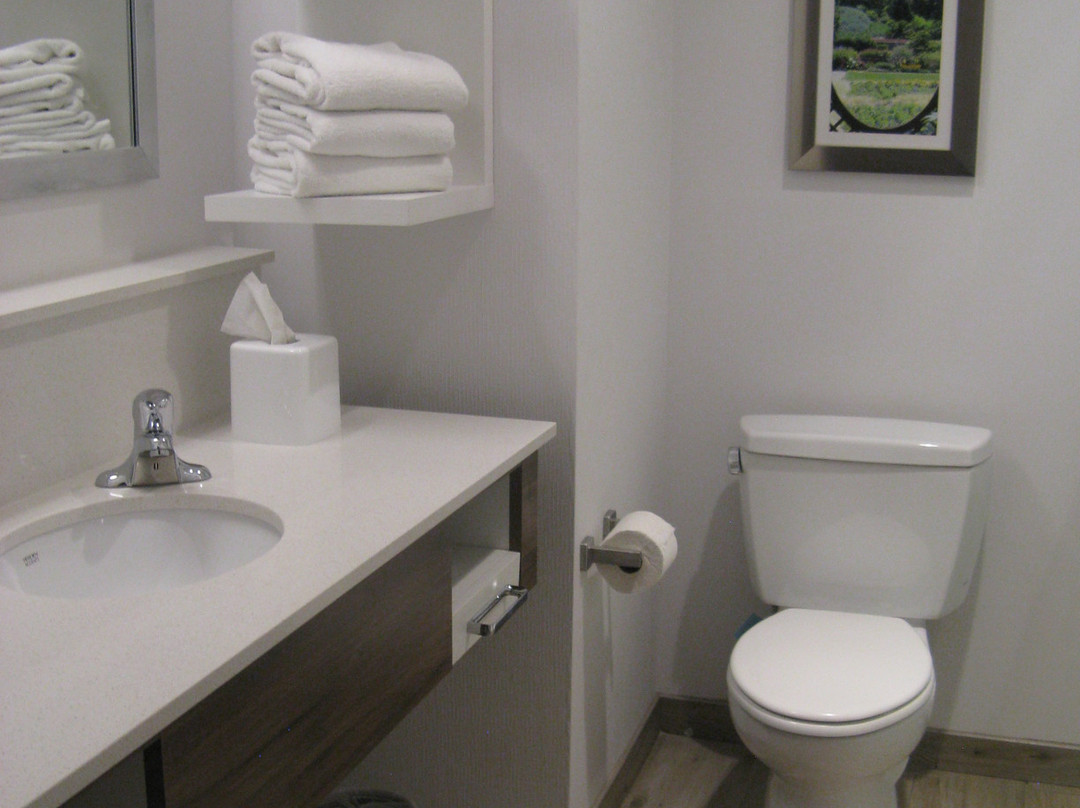 Hampton Inn & Suites Asheville Biltmore Village主图