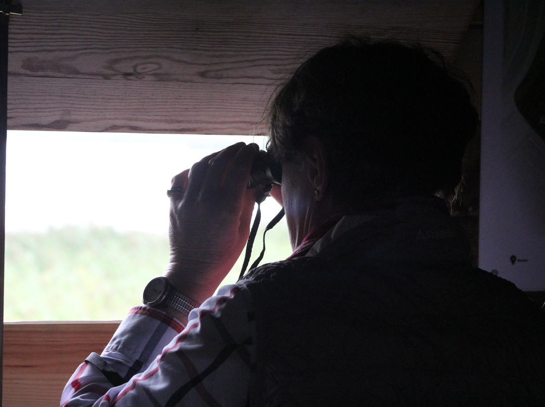 Vogelbeobachtungshütte am Leyhörn-Pilsum必去景点