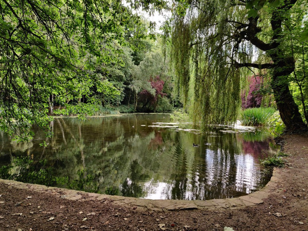 Wychwood Wild Garden景点图片