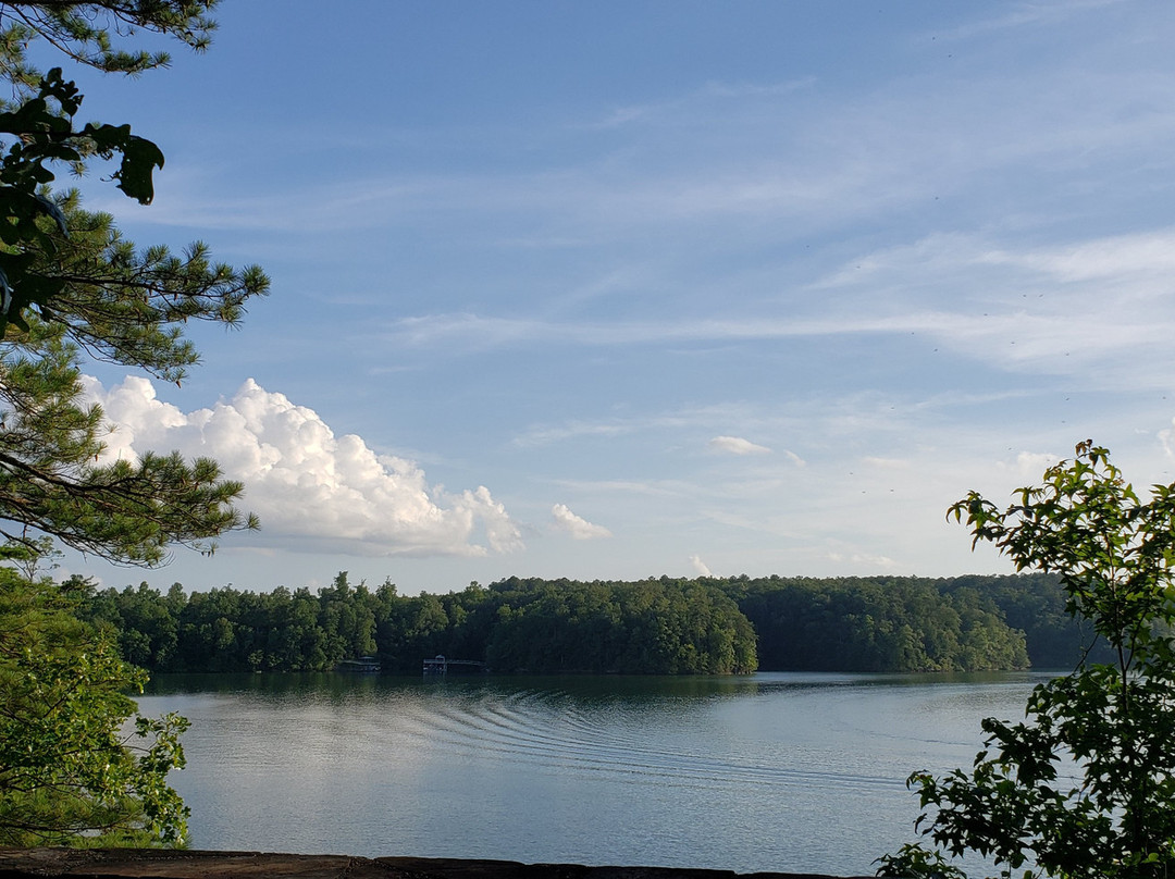 William Bankhead National Forest-Double Springs必去景点