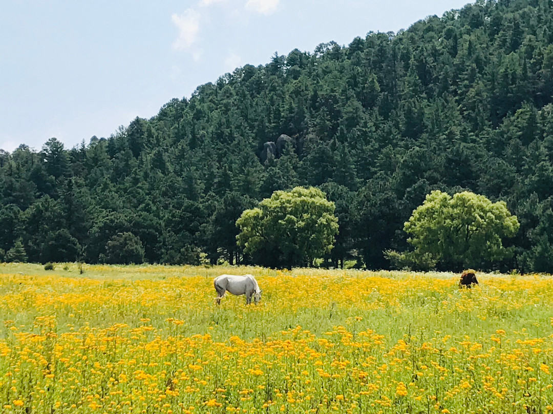 Hotel Parador Del Alma