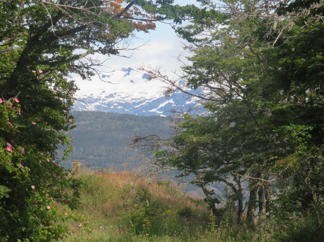 La Mina Escondida-Puerto Guadal必去景点